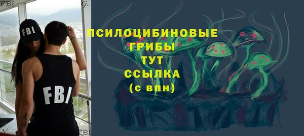 винт Гусиноозёрск