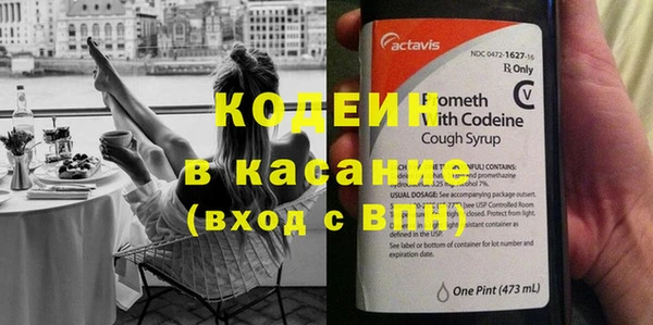 2c-b Гусев